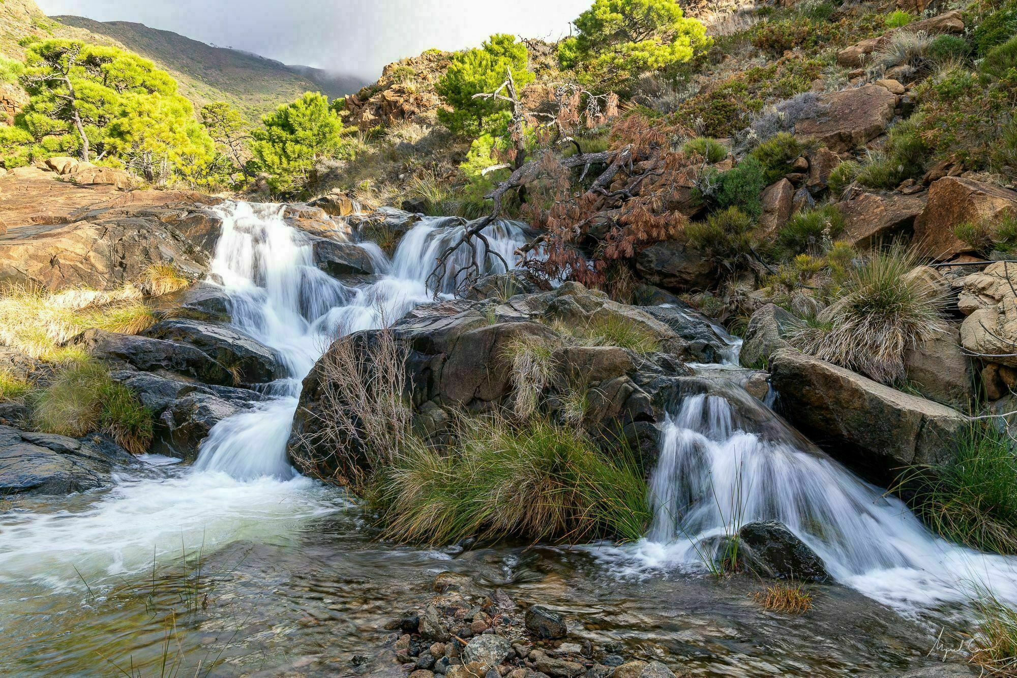 Sierra Bermeja